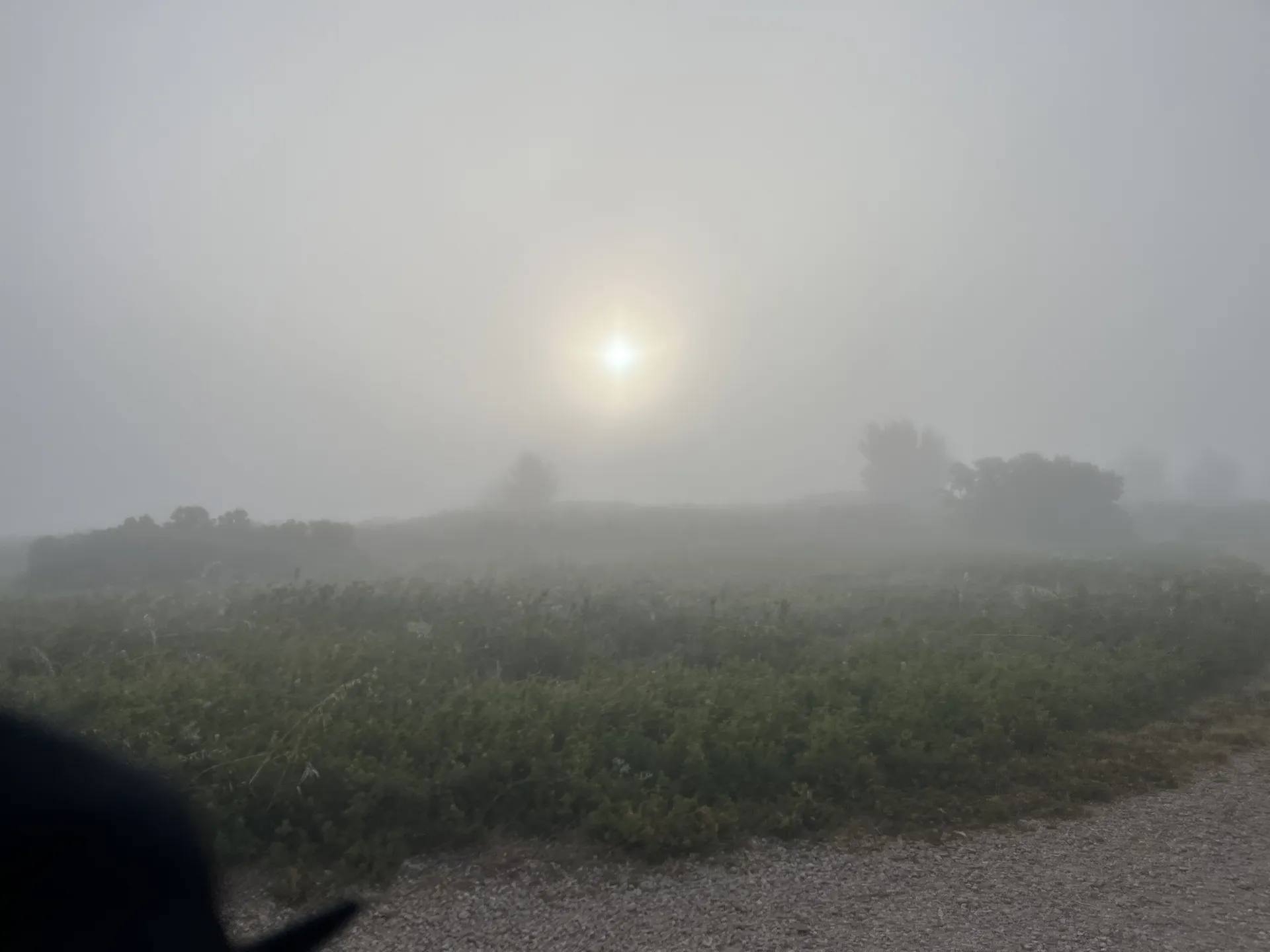 Haut de niolon mejean — photo 8
