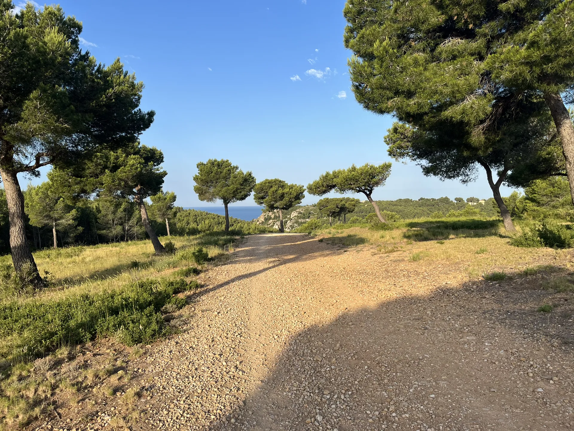 Haut de niolon mejean — photo 2
