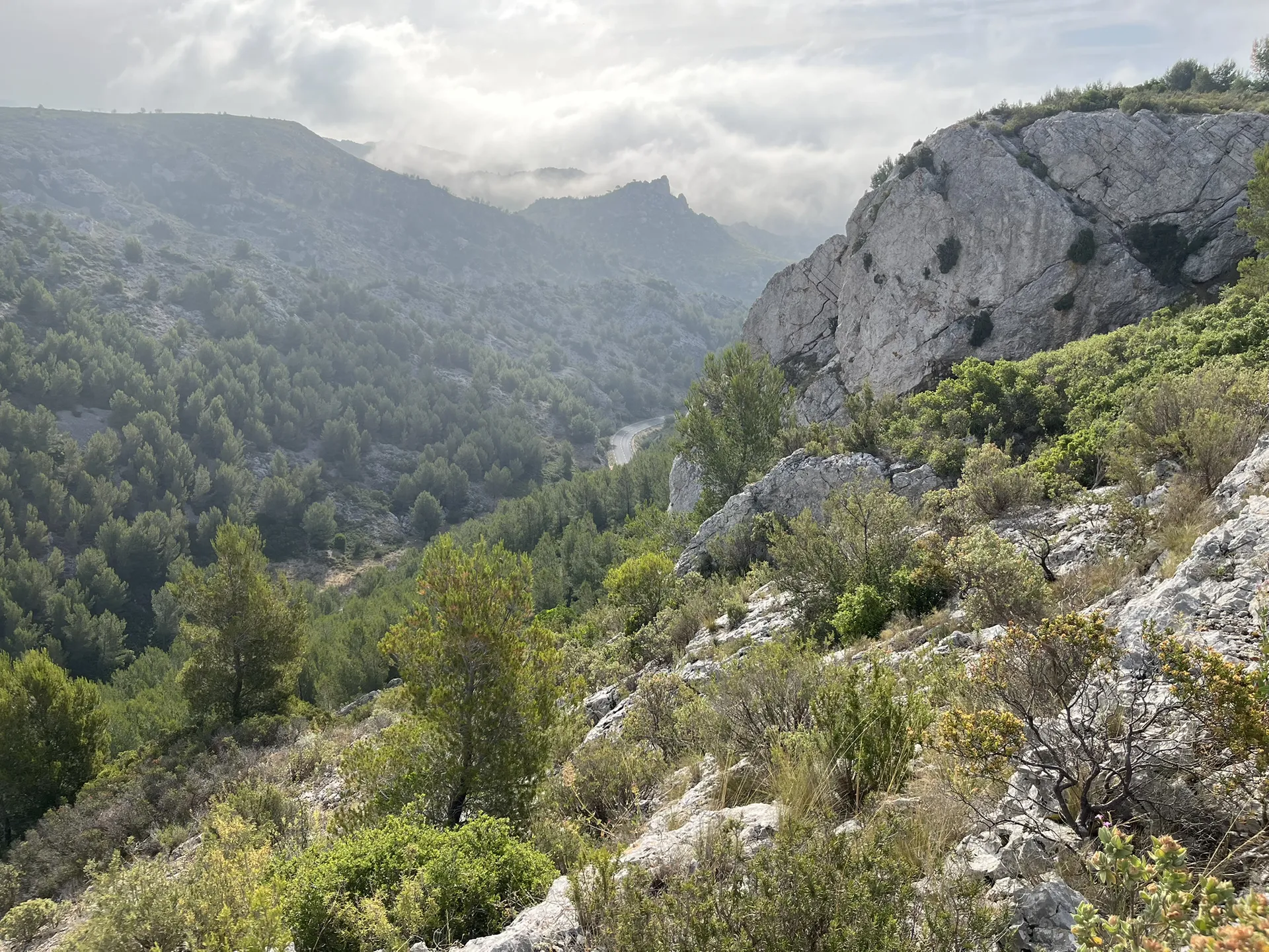 Haut niolon , fort de niolon , vigie ensues — photo 5