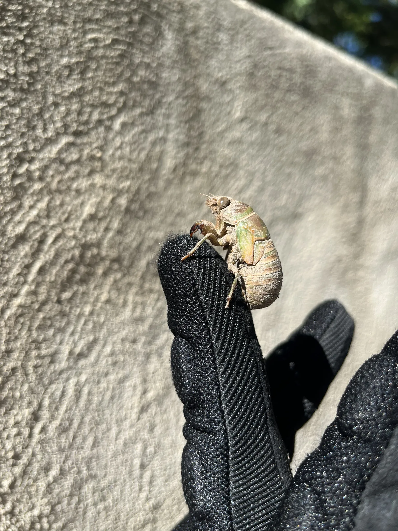 Héritage, puit de l'œuvre ( sport) — photo 6